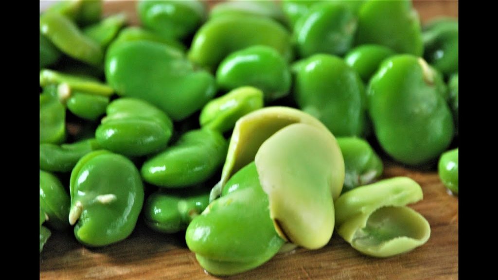 فوائد الفول الاخضر