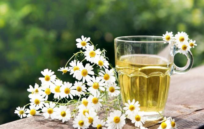 فوائد البابونج للبشرة