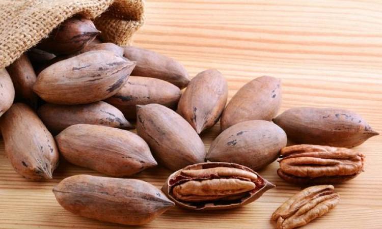 جوز البيكان وعين الجمل