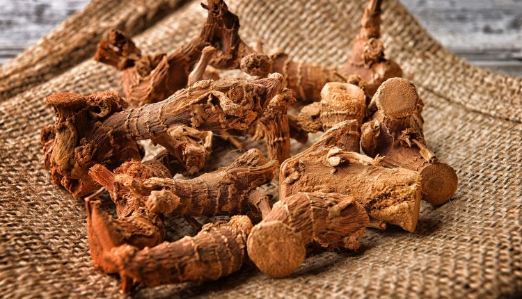 فوائد القسط الهندي للحمل 1