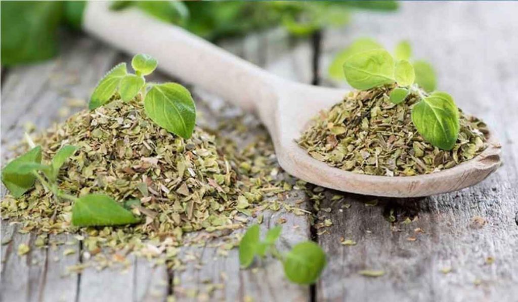 الميرمية والبردقوش للتنحيف