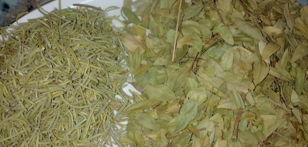 مكونات مشاط الشعر الاحمر