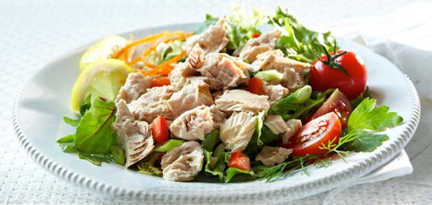 سلطة تونة دايت