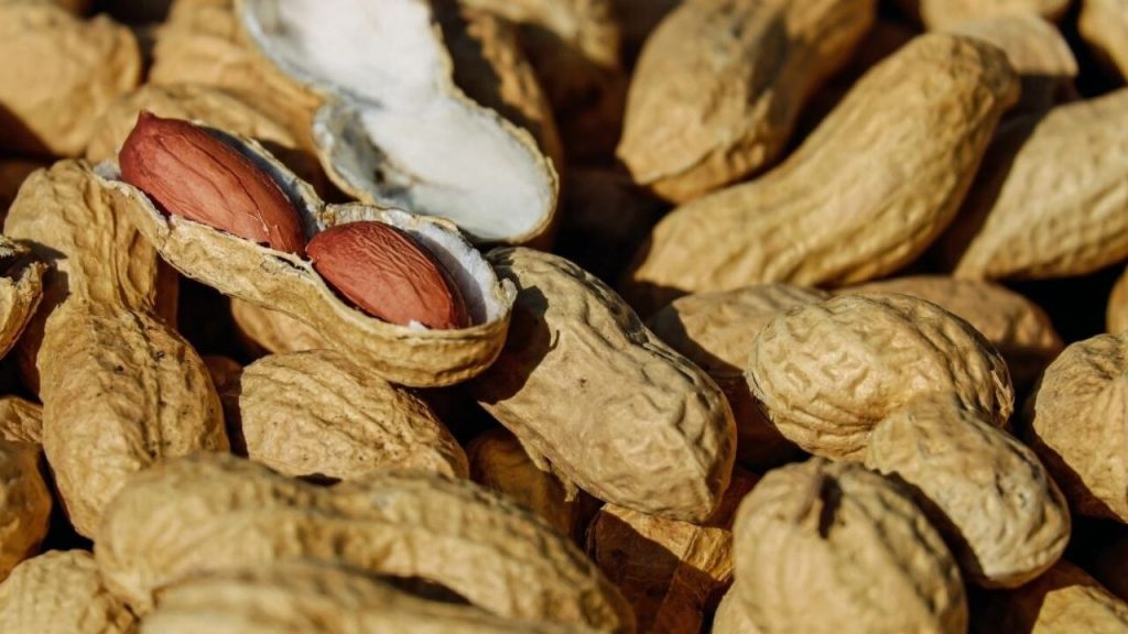 هل الفول السوداني مسموح في الكيتو