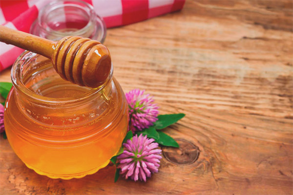 فوائد عسل البرسيم للرجال