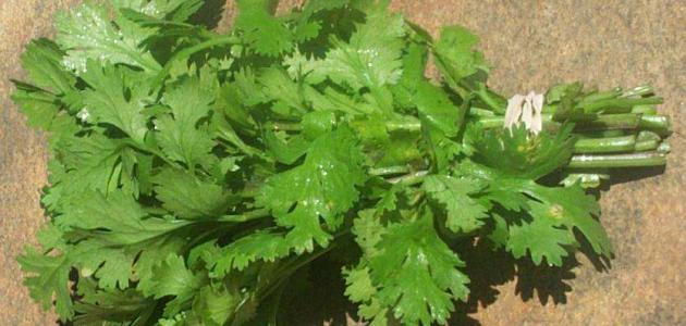 فوائد البقدونس للبشرة