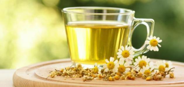 متى يشرب البابونج