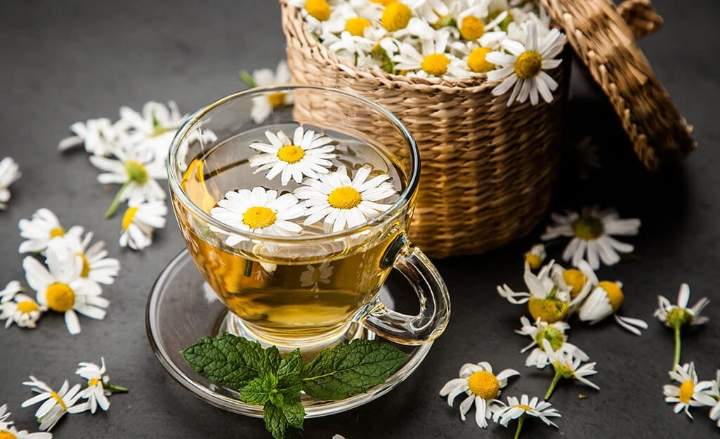 فوائد شاي البابونج