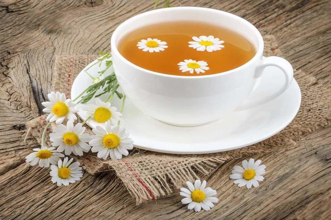 فوائد شرب البابونج قبل النوم