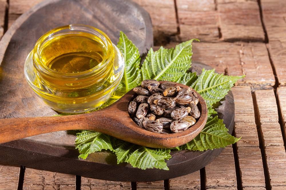 فوائد استخدام زيت الخروع في الرعاية الشخصية والعناية بالجمال
