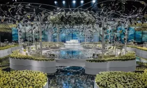 معلومات عن اعراس قطر 