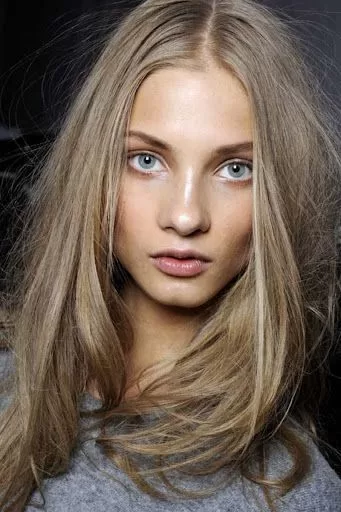 صبغة شعر Dirty Blonde
