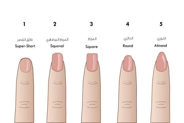 اشكال الاظافر واسمائها