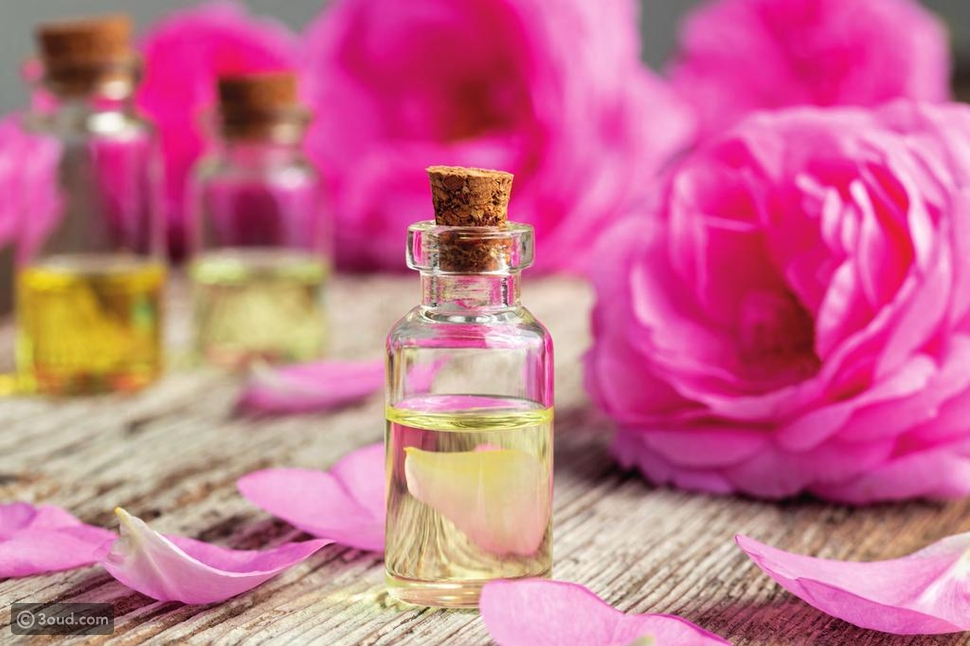 فوائد ماء الورد للشعر