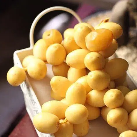 فوائد البلح الأصفر على الريق