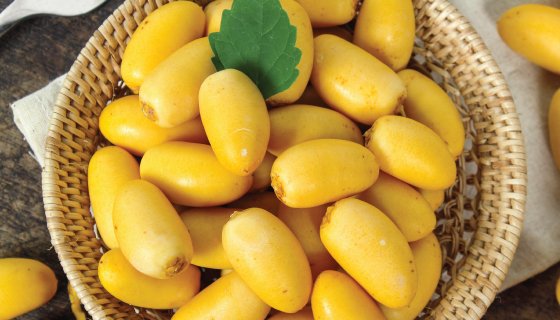 فوائد البلح الأصفر للتخسيس