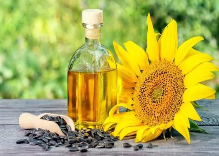 خلط زيت النعناع مع زيت دوار الشمس