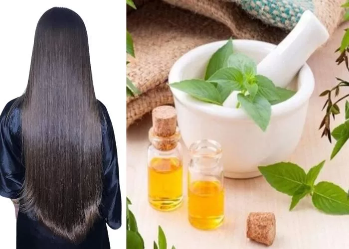 زيت النعناع لتطويل الشعر