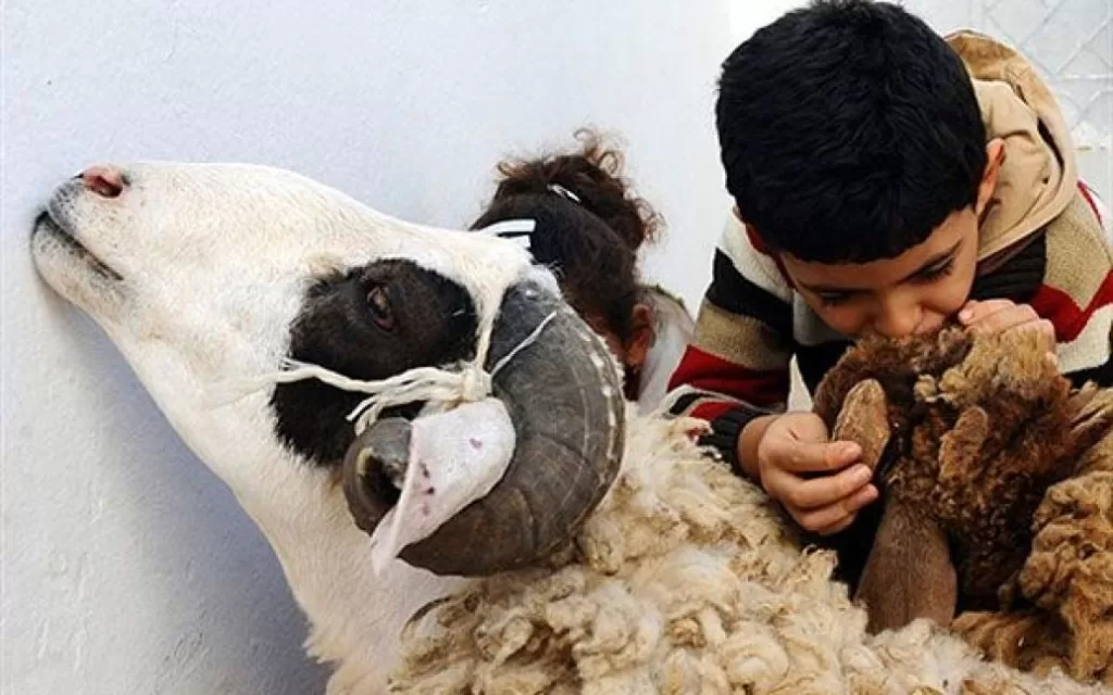 أطفالنا وذبح الأضحية