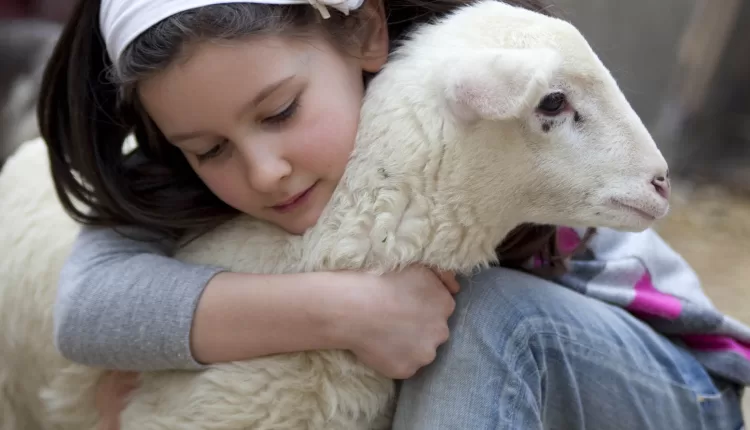 أطفالنا وذبح الأضجية